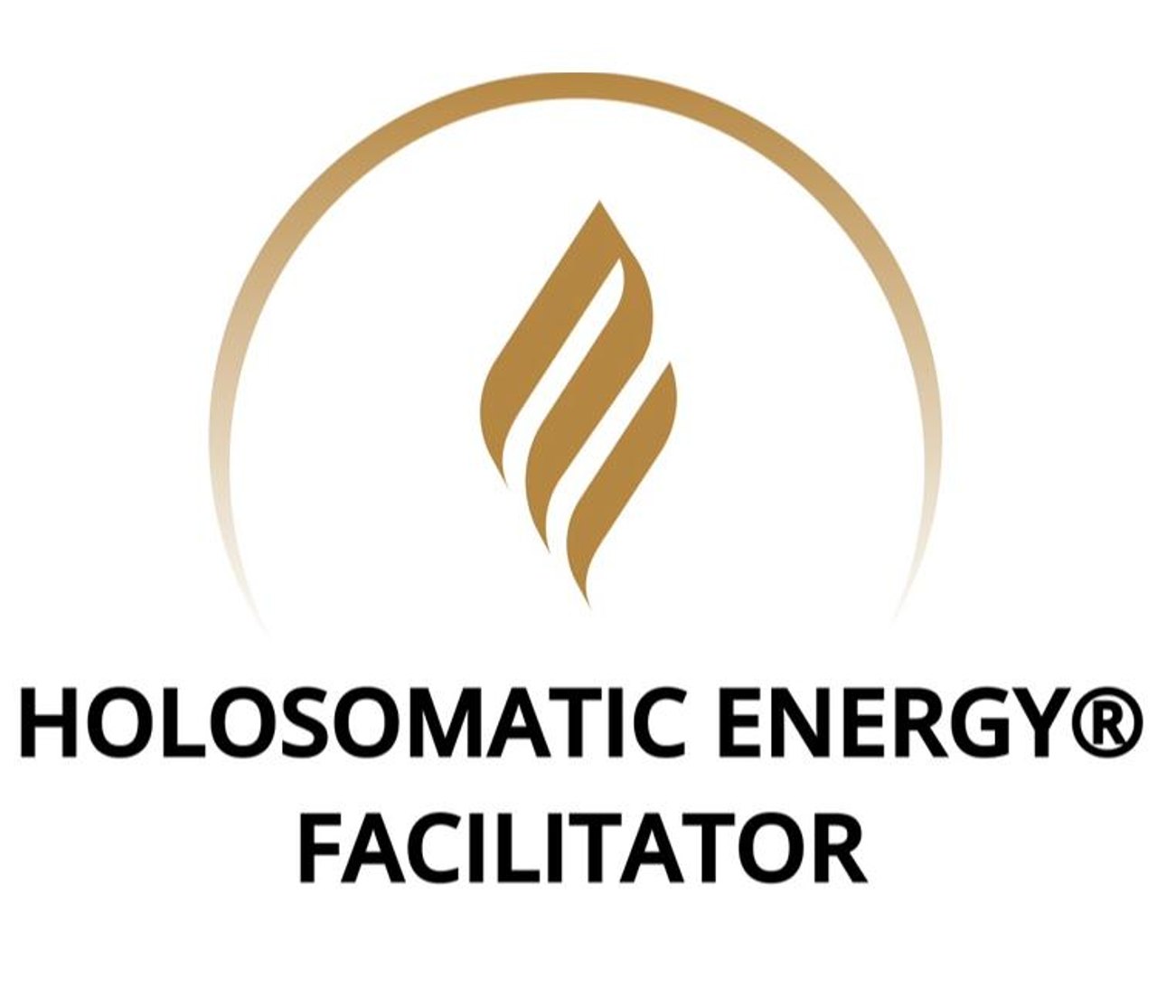 Holosomatic Energy Facilitator Logo mit goldener Flamme in einem Kreisbogen auf weißem Hintergrund.